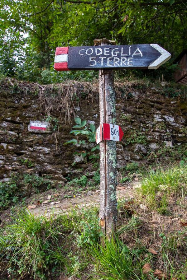 Near - Cinque Terre Holiday Apartment ริคคอ เดล โกลโฟ ดิ สเปเซีย ภายนอก รูปภาพ